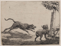 TvB G 1197
<br/>
Drie honden en een kadaver
<br/>
<em>Hillegaert, Paulus van (1595-1658)</em>